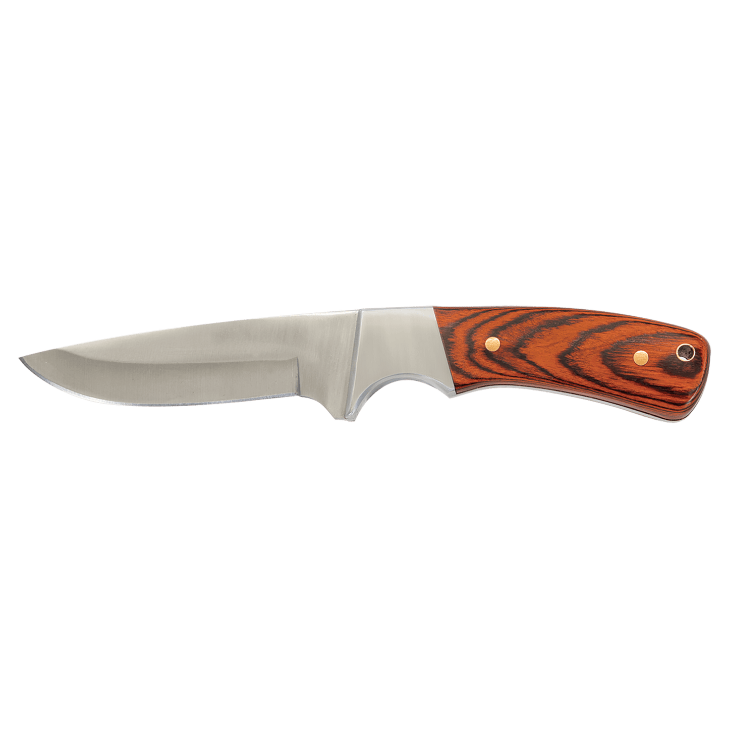 Fixed blade knife with stainless blade and striped wood handle