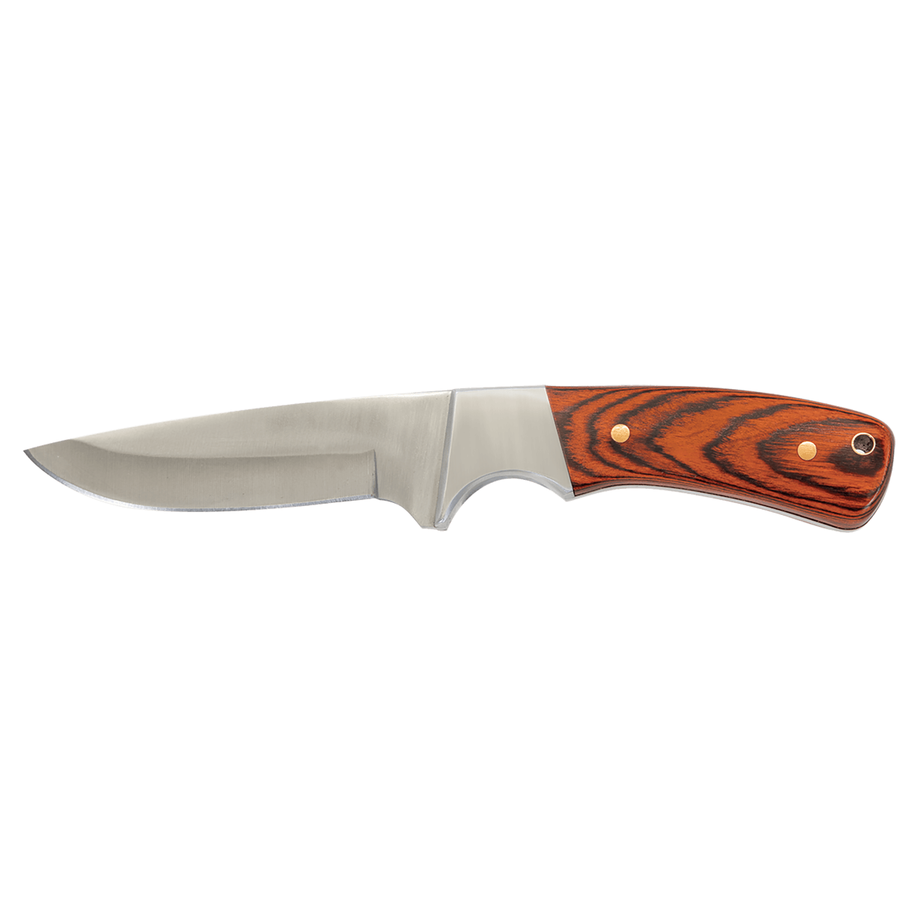 Fixed blade knife with stainless blade and striped wood handle