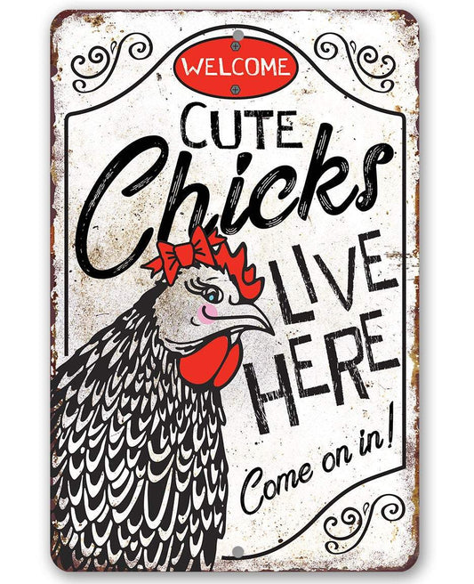 Welcome metal sign with 'Cute Chicks Live Here' text and chick-and-rooster illustration