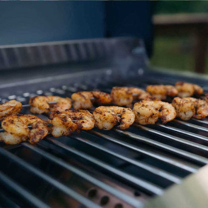 Monument Grills G22 – Stainless Tabletop Propane Gas Grill