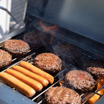 Monument Grills G22 – Stainless Tabletop Propane Gas Grill