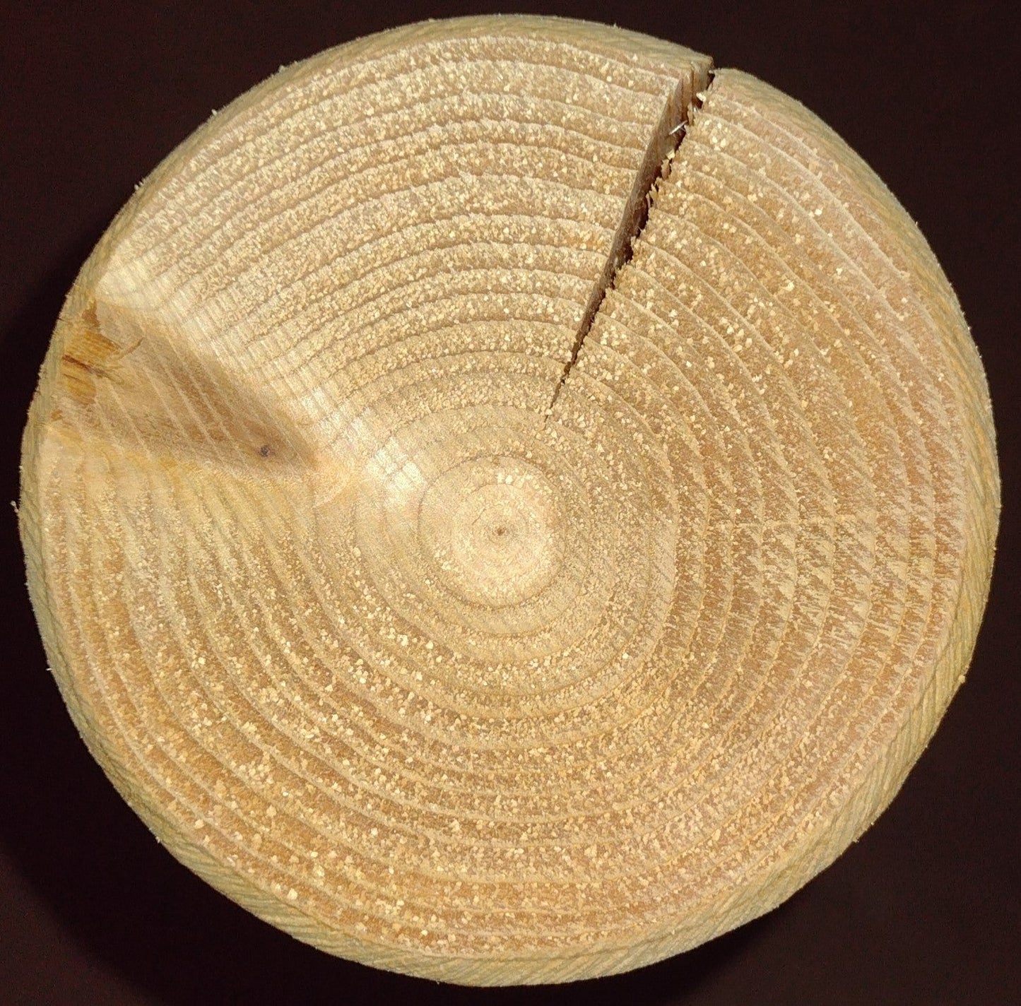 Cedar log end grain, circular growth rings and split seam on light wood surface